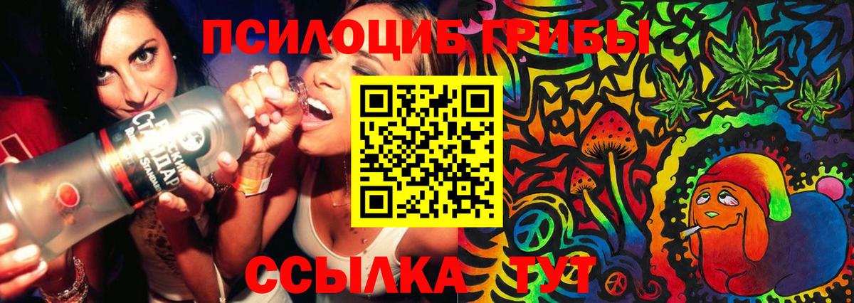 Можга  Галлюциногенные грибы Psilocybe  Вход с VPN  Галлюциногенные грибы Cubensis 